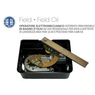 MOTORE SEA INTERRATO FIELD CANCELLO BATTENTE  2,5M 250 KG IRREVERSIBILE