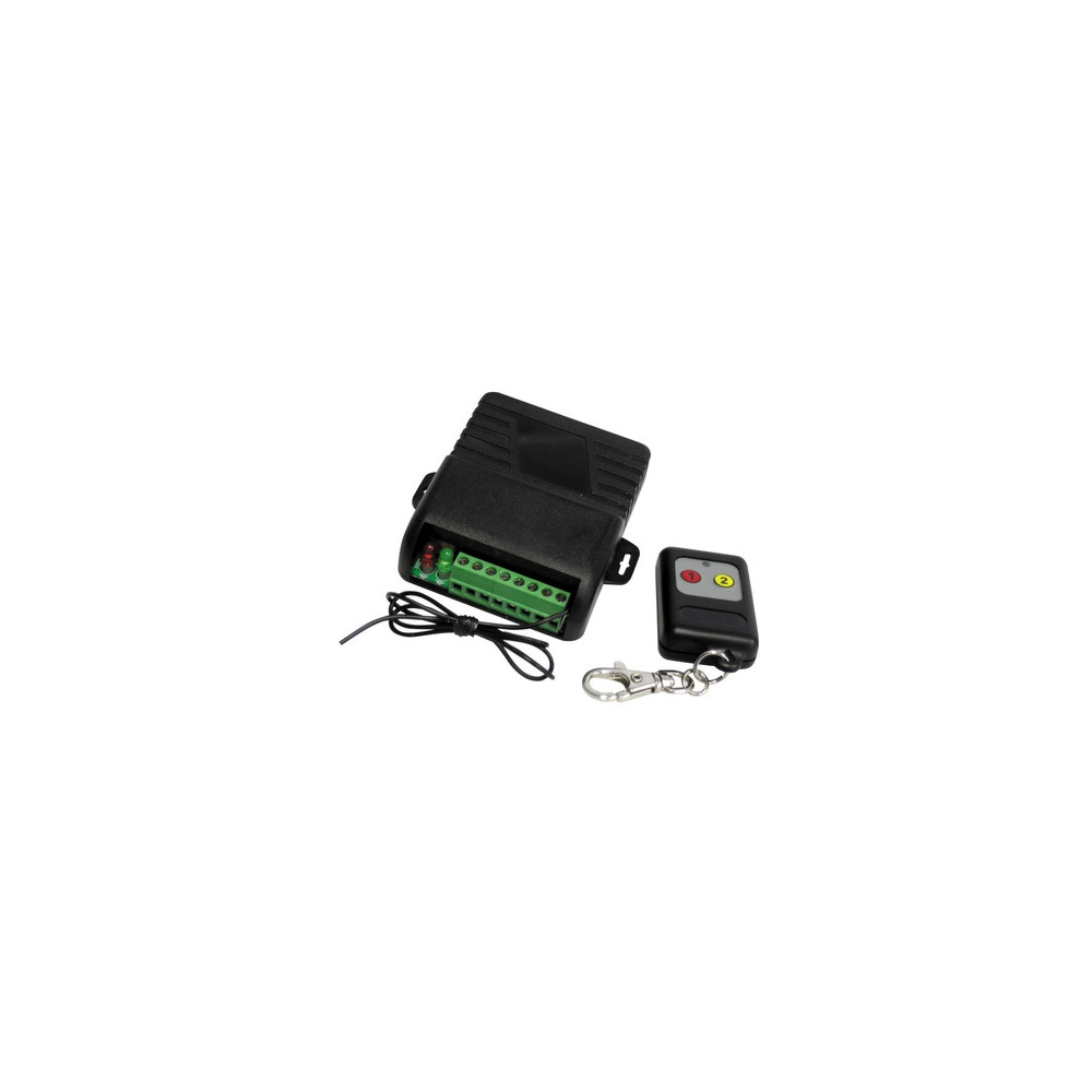 Kit attuatore a distanza con radiocomando