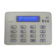 Centrale integrata con tastiera touch VIGILHOME24 microvideo Ricevente radio GSM